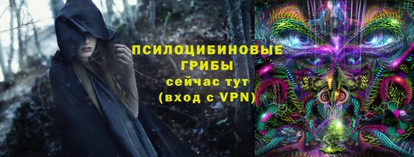 мдпв Вяземский