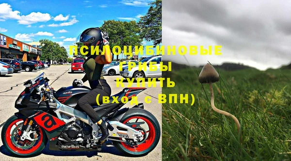 мдпв Вяземский