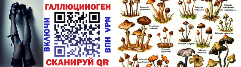 мега tor  Брянск  Псилоцибиновые грибы GOLDEN TEACHER 