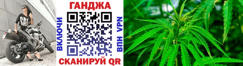 Шишки марихуана планчик  как найти наркотики  Брянск 